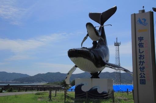 🏞️ 우사 바닷바람 공원(우사 시오카제 코엔) 이미지 6